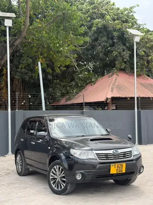 Subaru Forester 2009 Gray