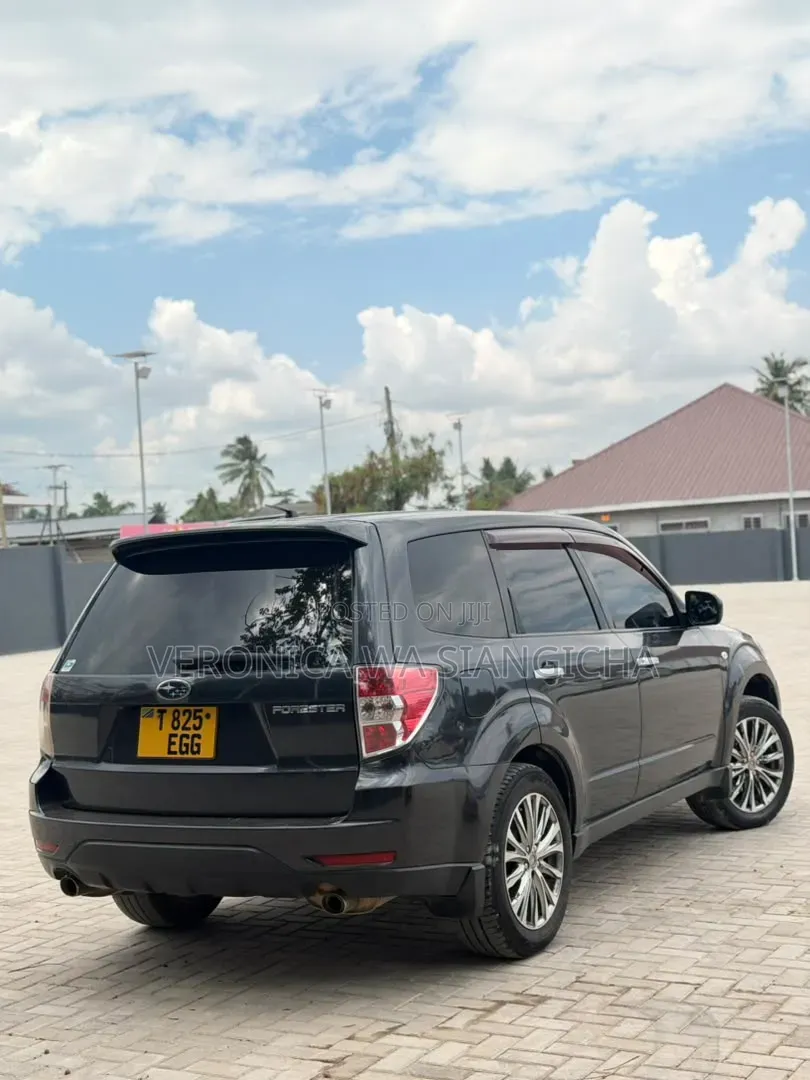 Subaru Forester 2009 Gray