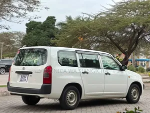 Toyota Probox 2010 White