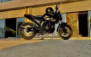 Kingbird 2023 Black