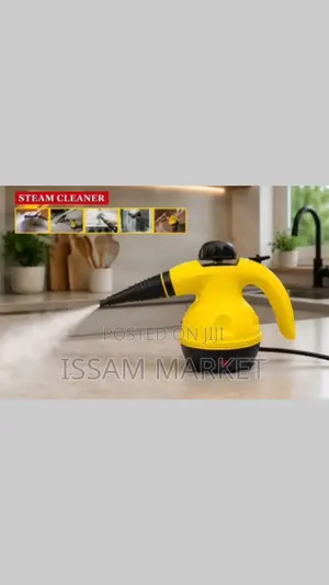Hand Held Steam Cleaner