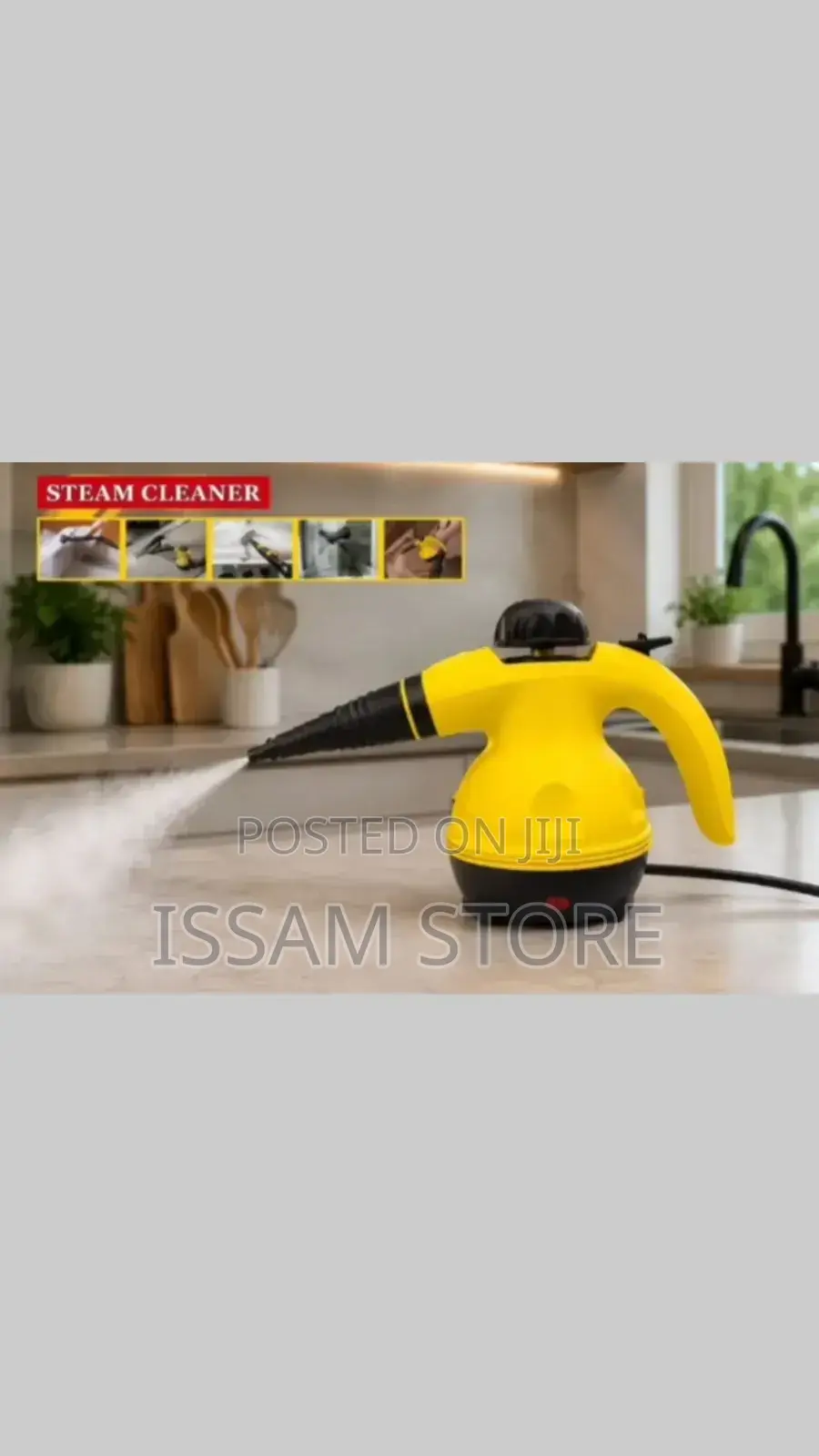 Hand Held Steam Cleaner