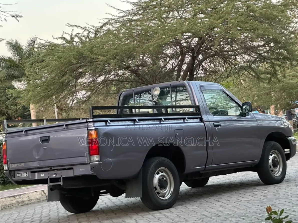 Nissan DoubleCab 2001 Gray