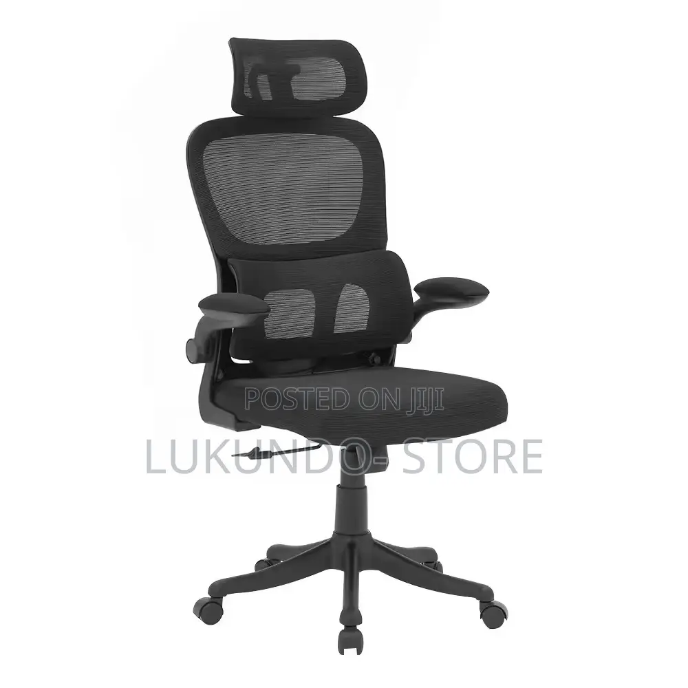 Comfortable Ergonomic Office Chair and Hone Use