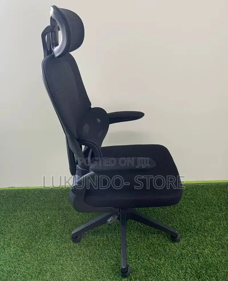 Comfortable Ergonomic Office Chair and Hone Use