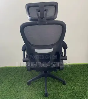 Comfortable Ergonomic Office Chair and Hone Use