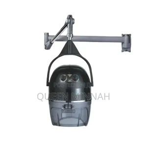 Wall-Mounted Hair Dryer/ Salon Hair Steamer