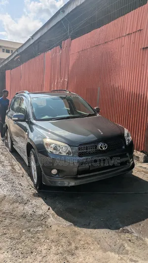 Toyota RAV4 2007 Gray