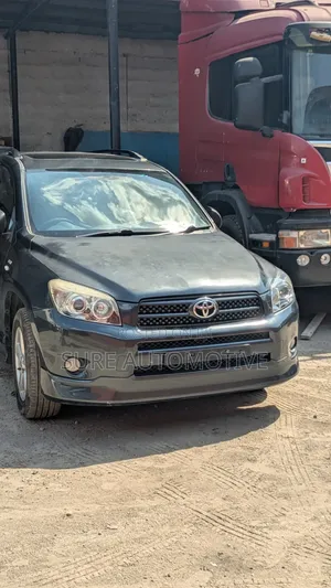 Toyota RAV4 2007 Gray