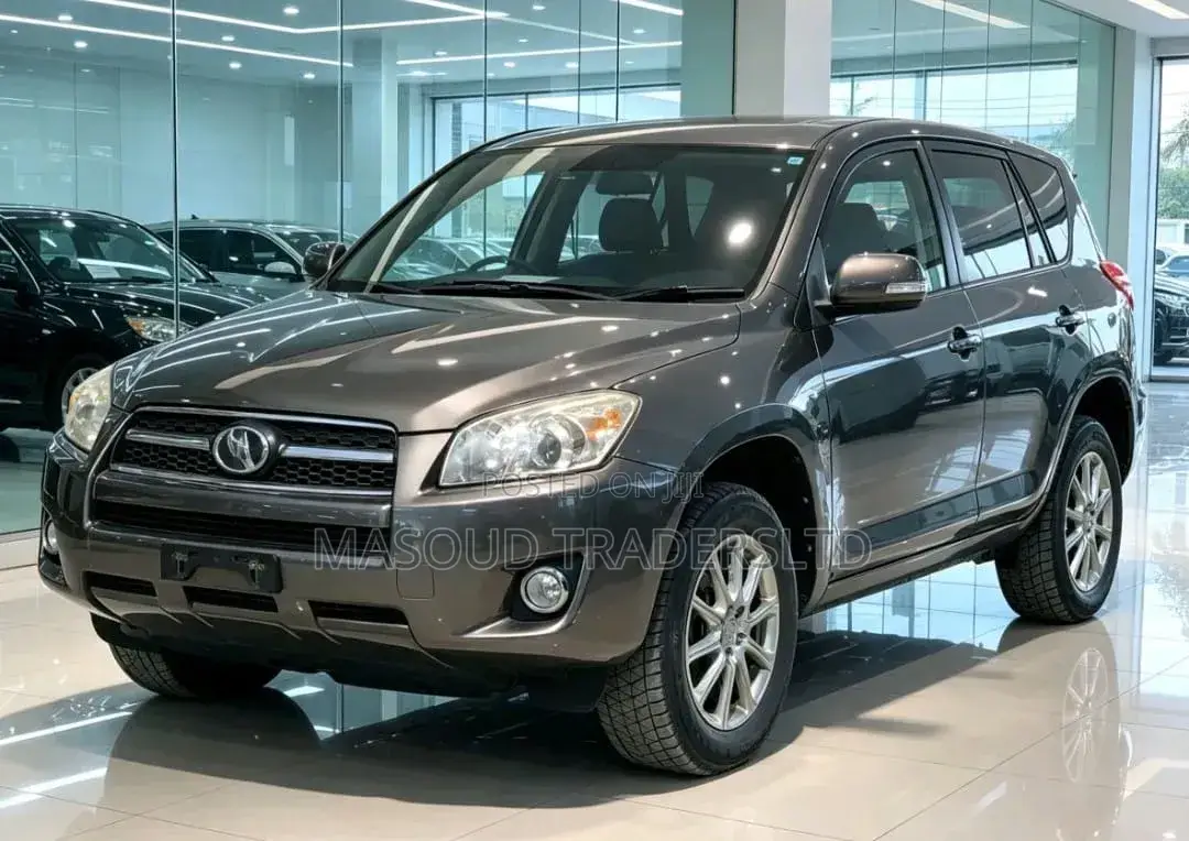 Toyota RAV4 2010 Gray