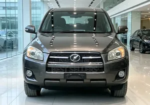 Toyota RAV4 2010 Gray