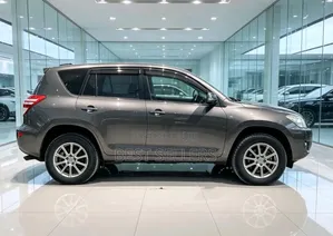 Toyota RAV4 2010 Gray