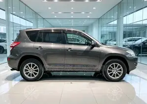 Toyota RAV4 2010 Gray