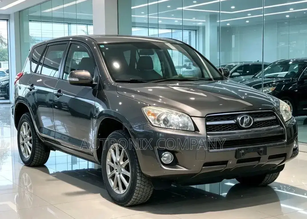 Toyota RAV4 2010 Gray