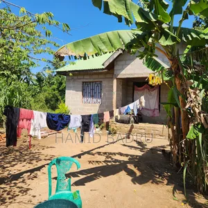 Kiwanja Kinauzwa Dege