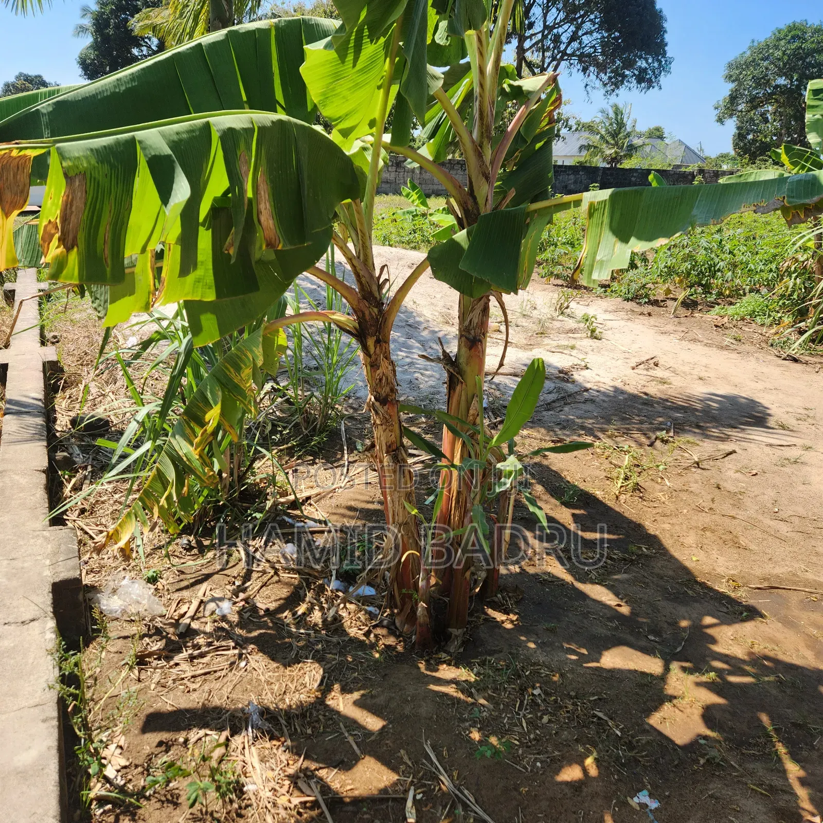 Kiwanja Kinauzwa Dege