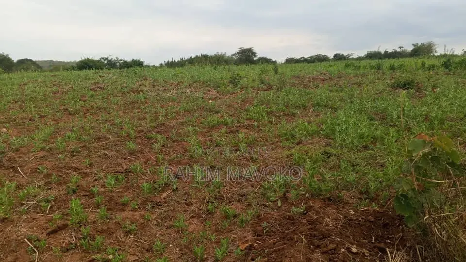Shamba Linauzwa Mbwewe Hekari 30