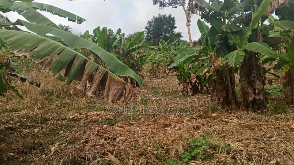 Shamba Linauzwa Mbwewe Hekari 30