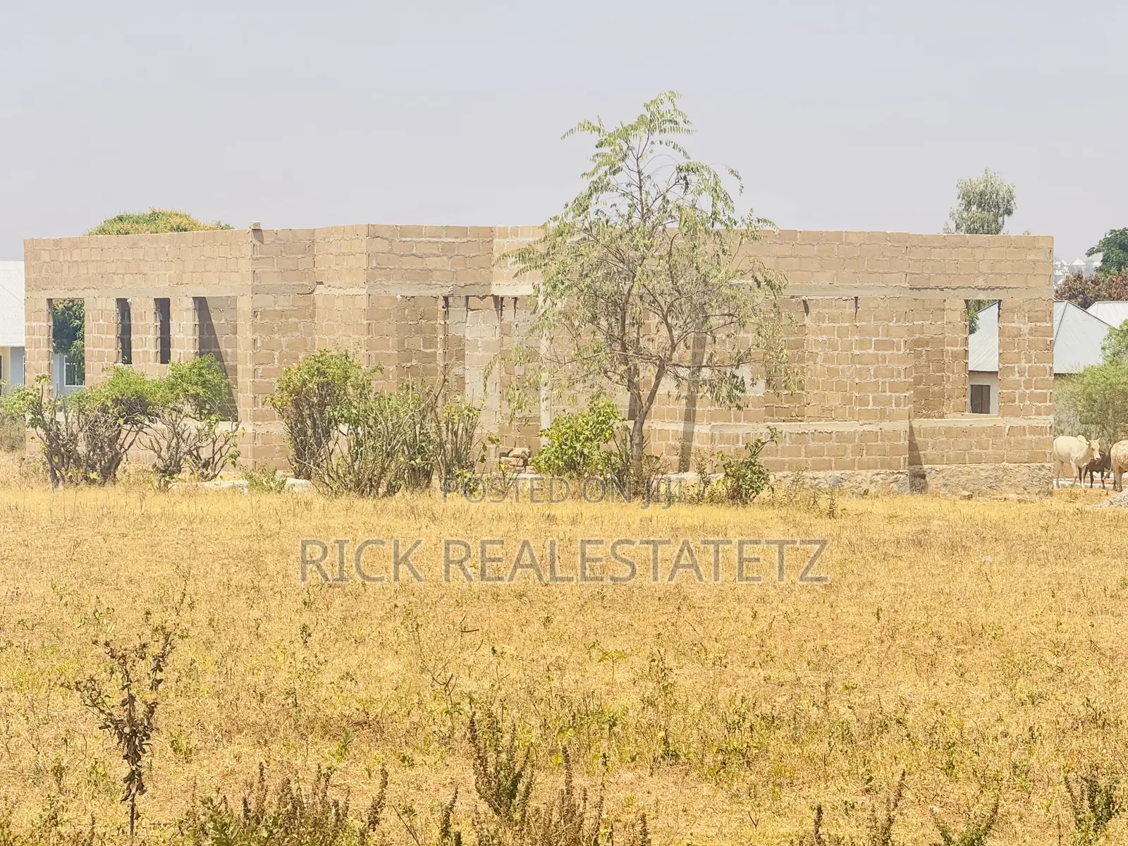 Kiwanja Kinauzwa Buswelu - Ilalila ( Nebrix Schools Mwanza ) SQM 20x21