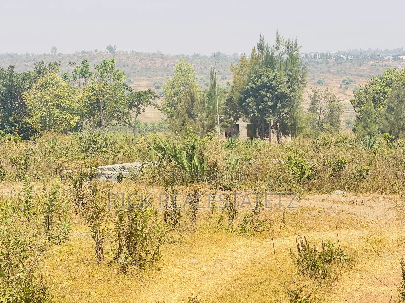Kiwanja Kinauzwa Buswelu - Ilalila ( Nebrix Schools Mwanza ) SQM 20x21