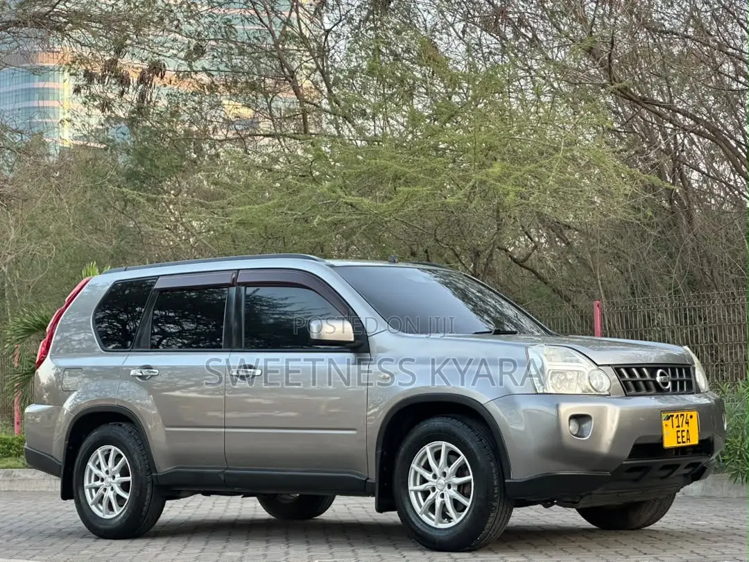 Nissan X-Trail 2010 Gray