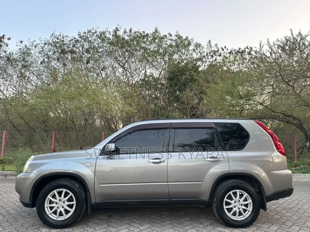 Nissan X-Trail 2010 Gray