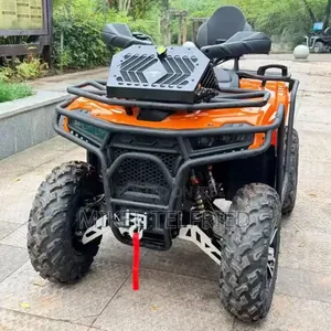 New Big Dog 2026 Black