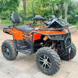 New Big Dog 2026 Black