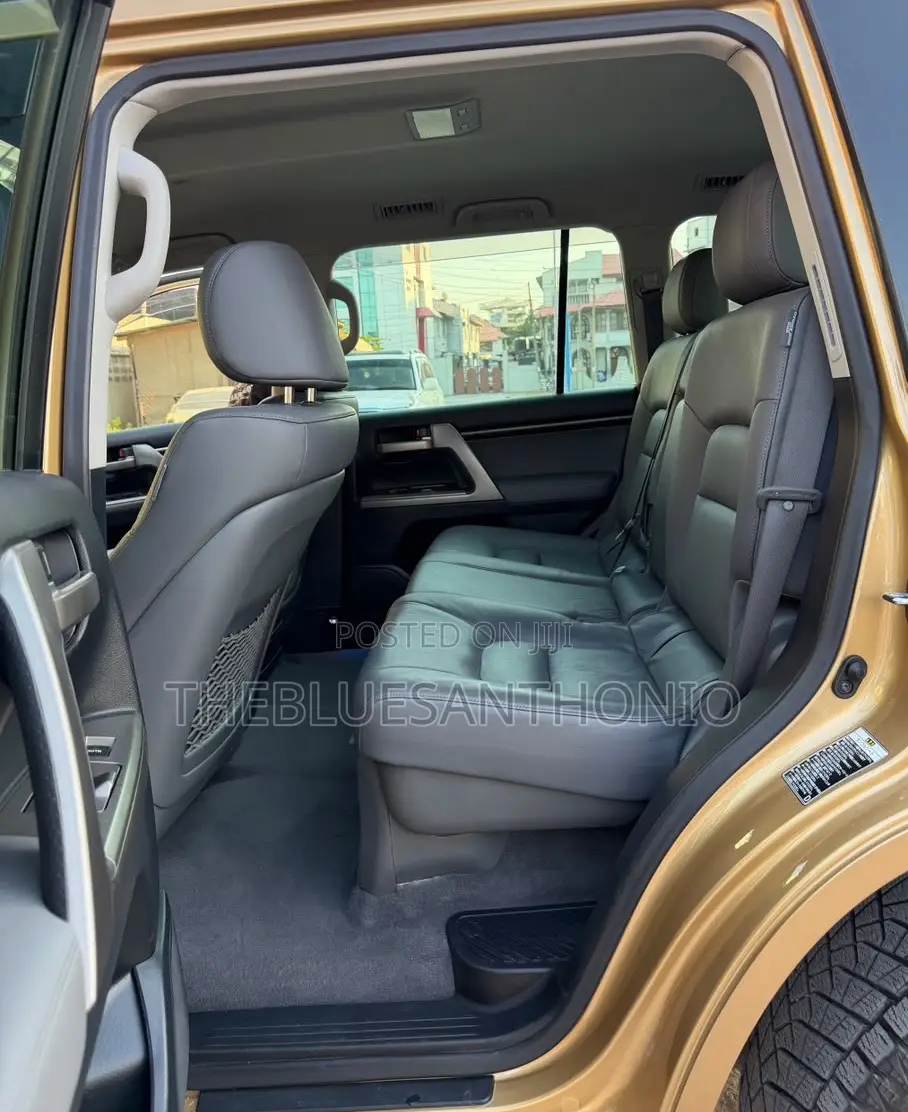 Toyota Land Cruiser 2009 Gold