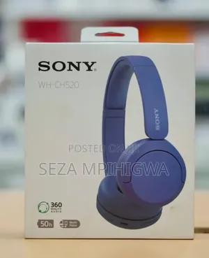 *Sony Ch 520 Headphones