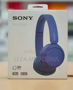 *Sony Ch 520 Headphones