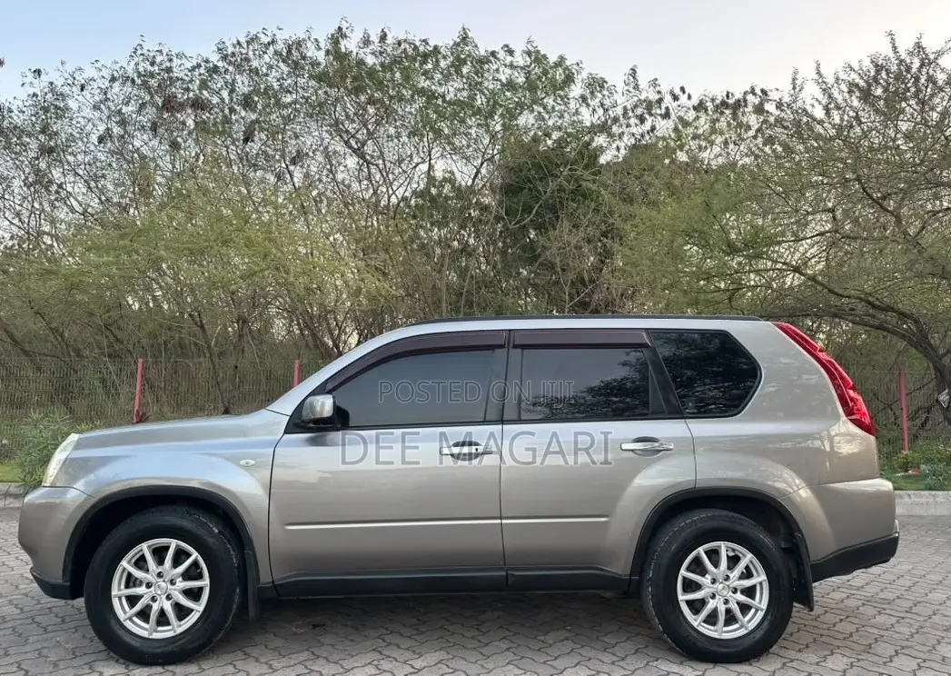Nissan X-Trail 2010 Gray