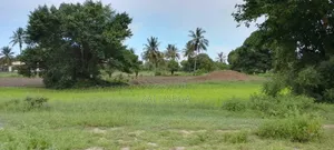 Kiwanja Mbutu Kigamboni Karibu Na Beach Na Hoteli Za Kitalii