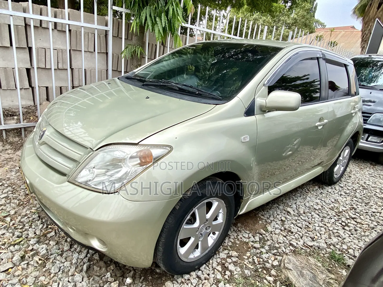 Toyota IST 2004 Gold