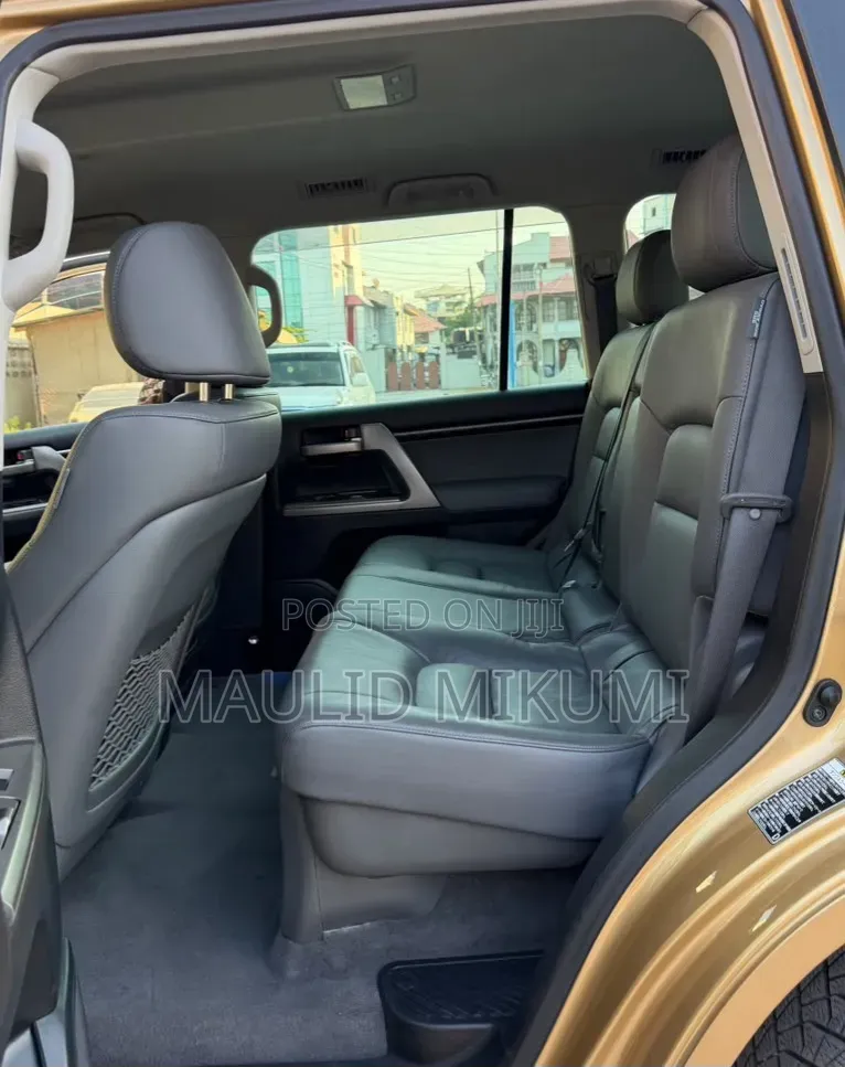 Toyota Land Cruiser 2008 Gold
