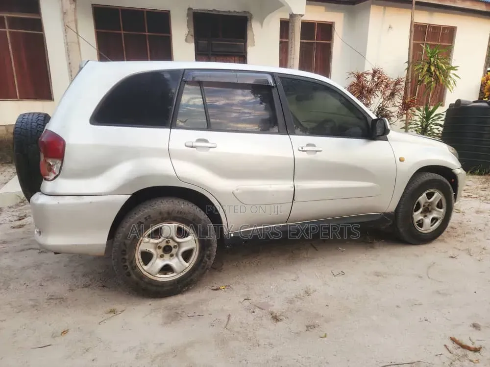 Toyota RAV4 2004 Silver