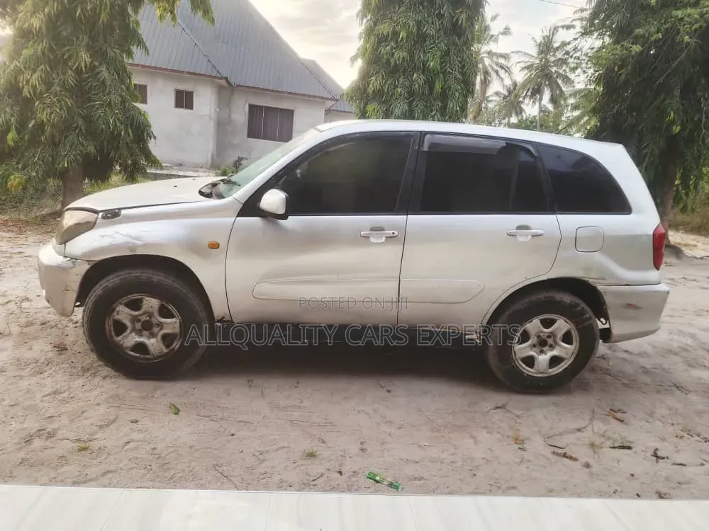 Toyota RAV4 2004 Silver