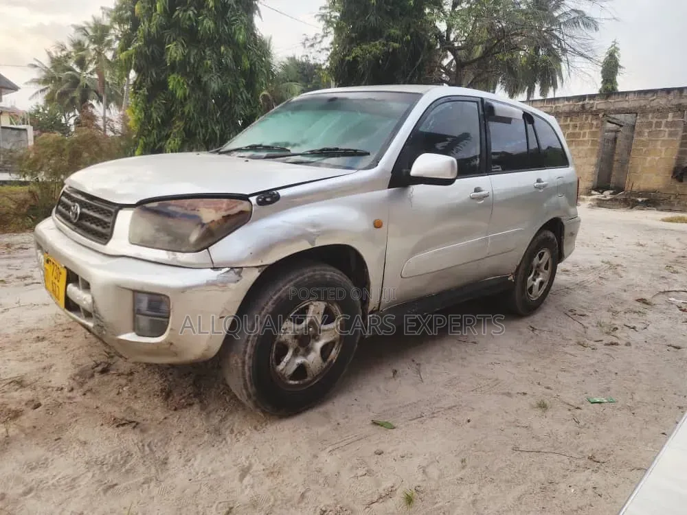 Toyota RAV4 2004 Silver
