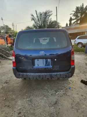 Toyota Probox 2004 Blue