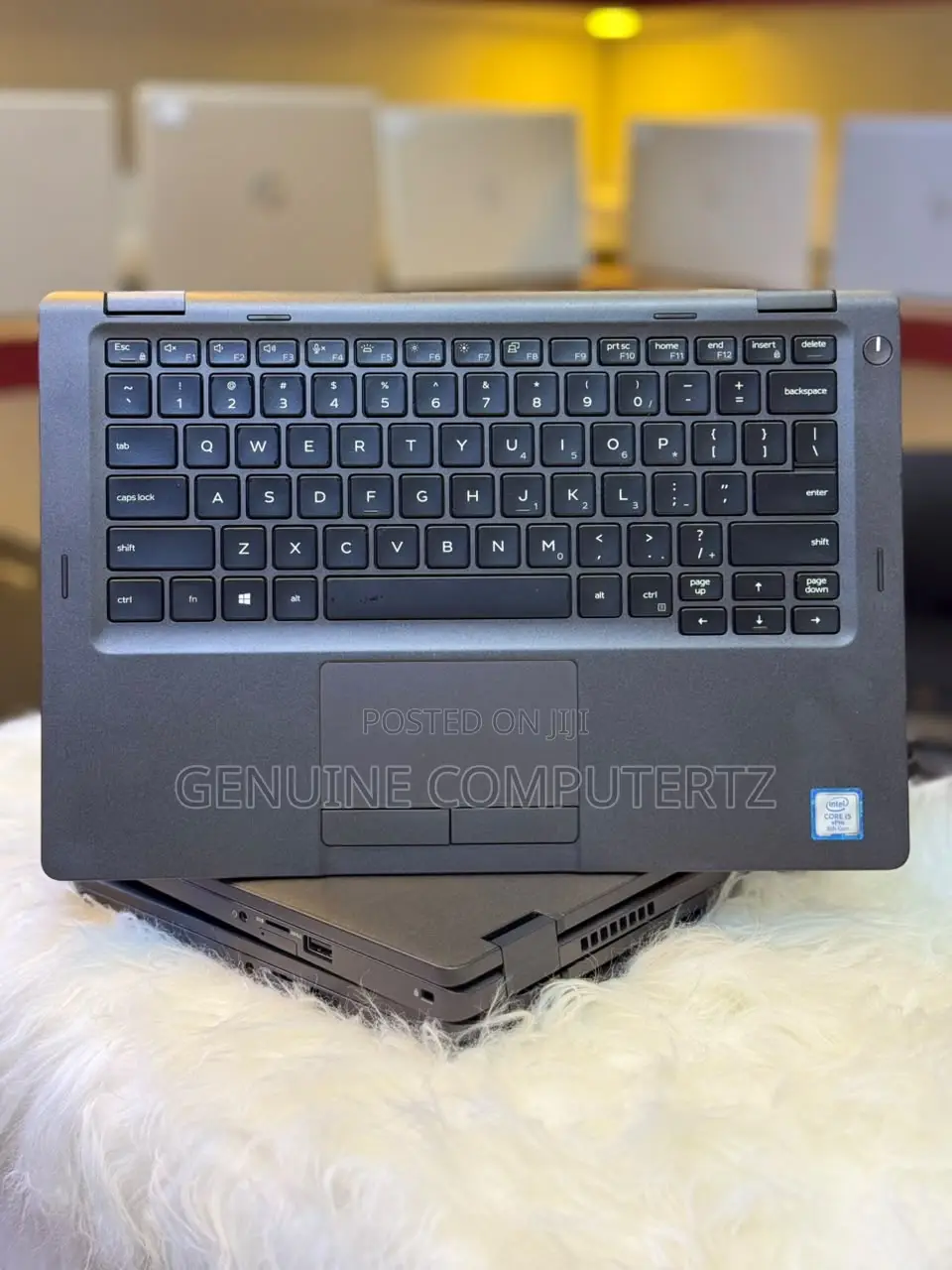 Laptop Dell Latitude 5300 2-in-1 8GB Intel Core i5 SSD 256GB