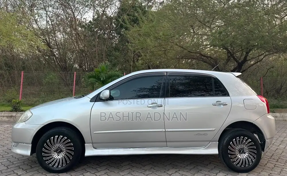 Toyota Allex 2003 Silver