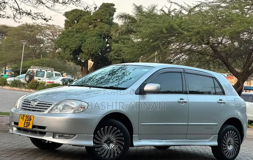 Toyota Allex 2003 Silver