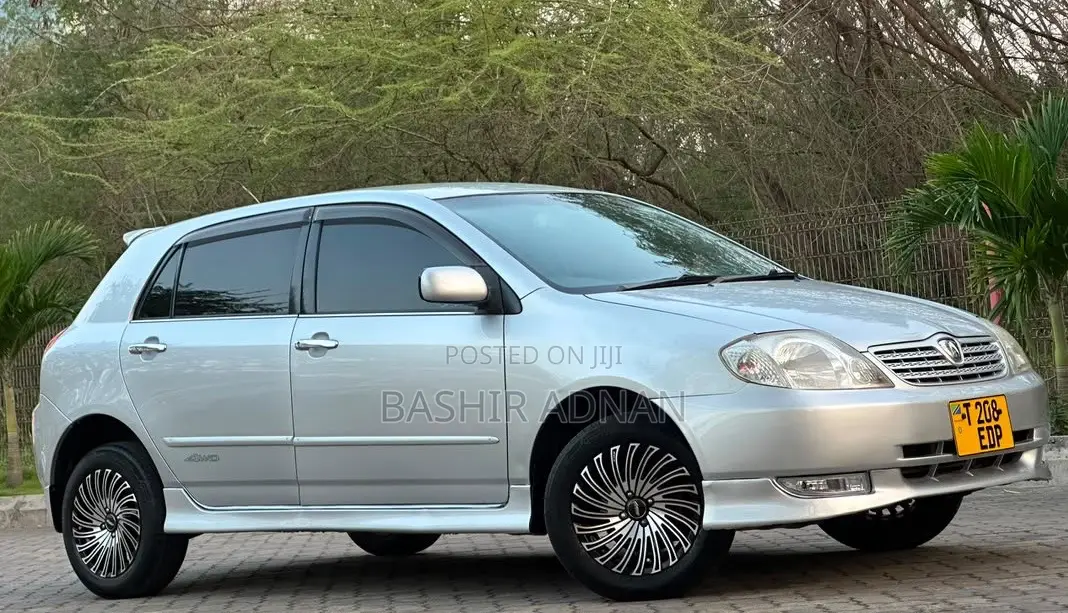 Toyota Allex 2003 Silver