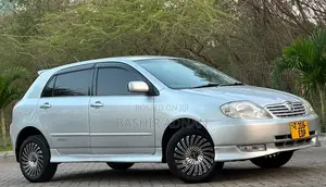 Toyota Allex 2003 Silver