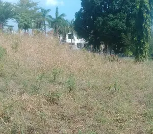 SQMTS 1900 Plot for Sale in Bunju B