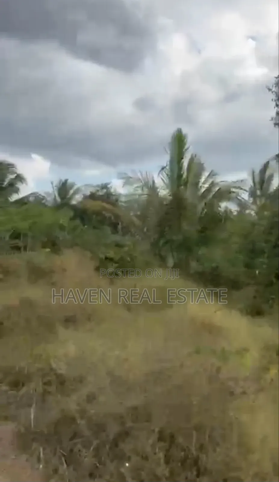 *137 Acres of Agriculture Farm for Sale in Mhaga, Kisarawe*