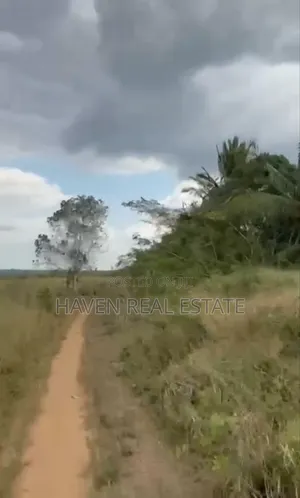 *137 Acres of Agriculture Farm for Sale in Mhaga, Kisarawe*