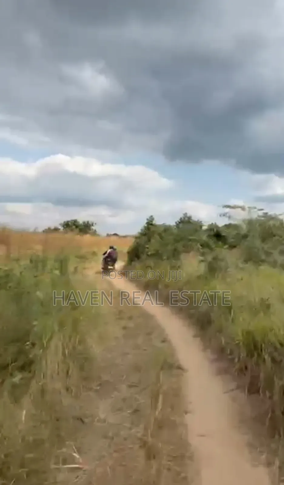 *137 Acres of Agriculture Farm for Sale in Mhaga, Kisarawe*