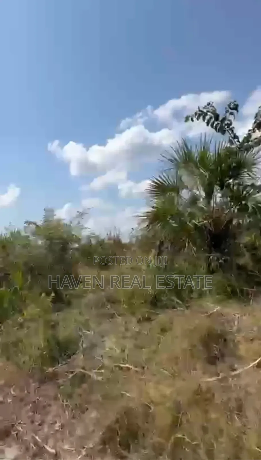 *Rare Investment Opportunity - 126 Acres, Matanzi, Mkuranga*