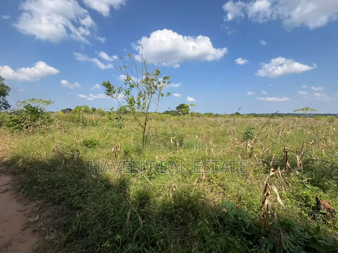 Exceptional Opportunity 140 Acres Industrial Plot in Mkuranga*